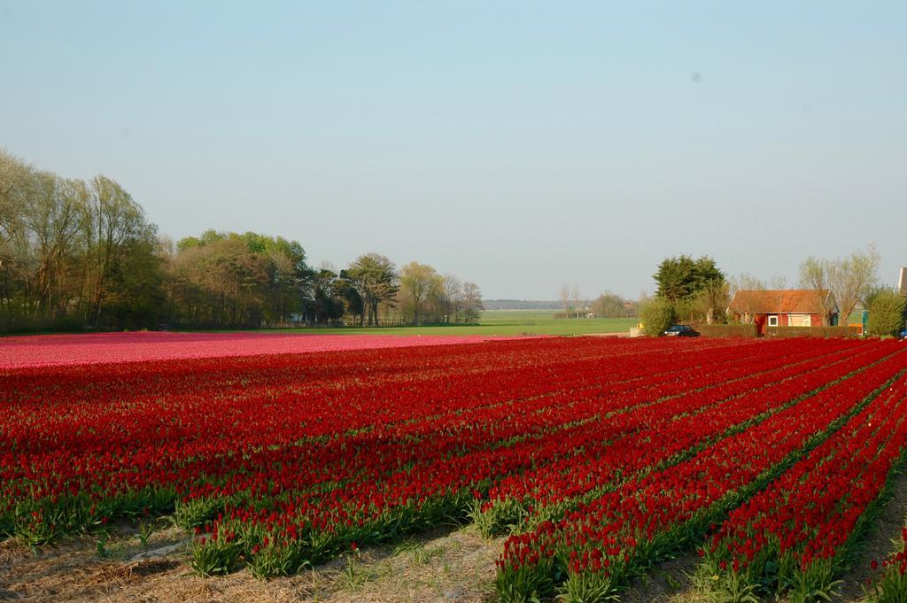 Hotel Prins Maurits Bergen aan Zee Ngoại thất bức ảnh